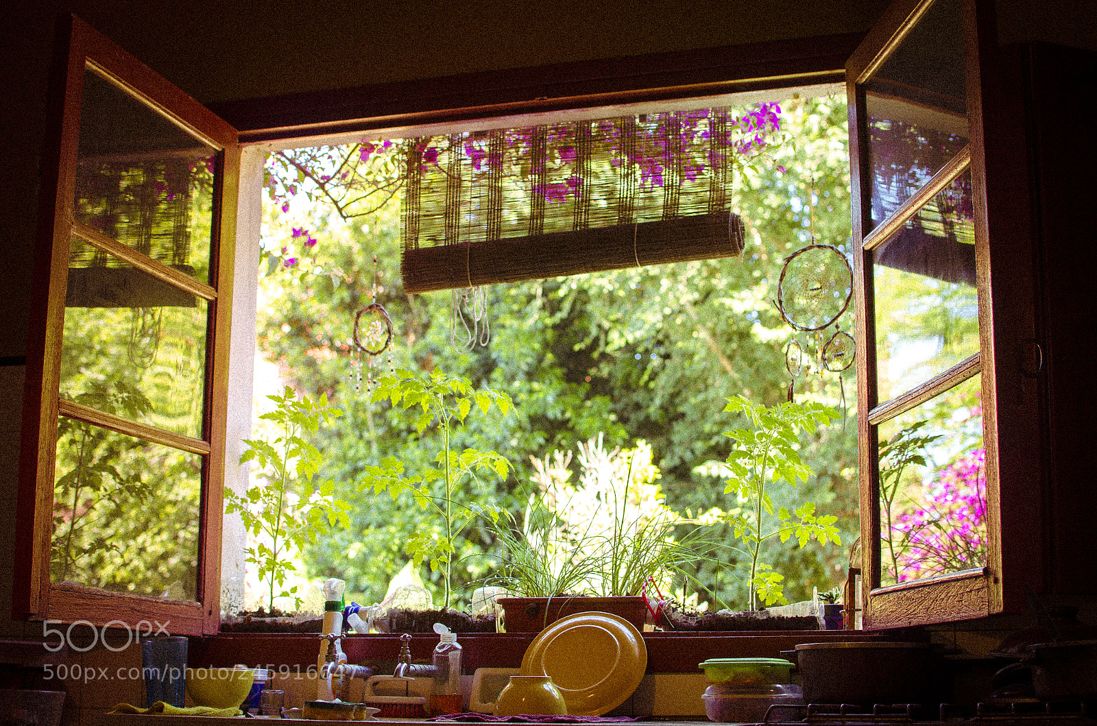 Nikon D5100 sample photo. Ale's window. photography