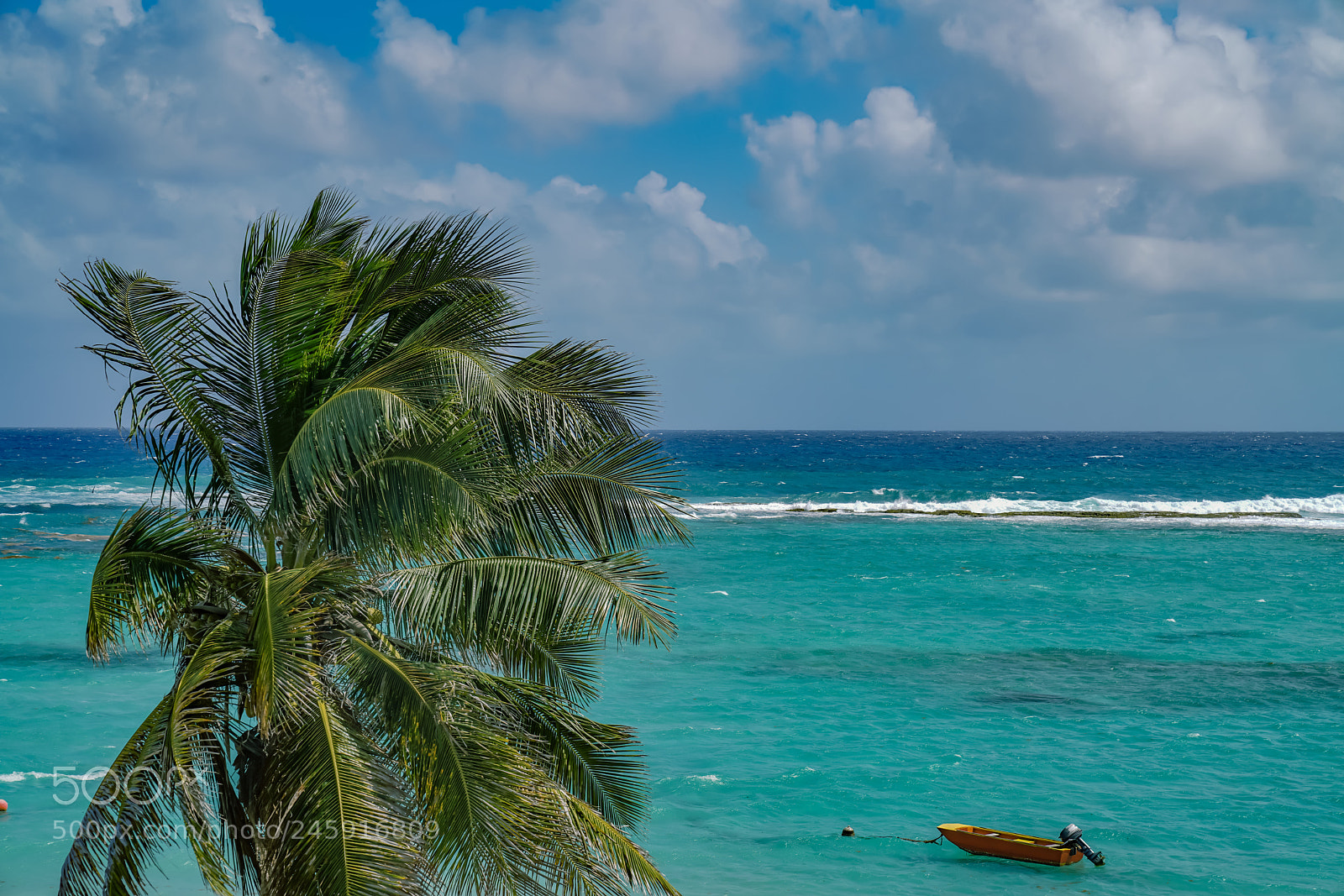 Sony a7R II sample photo. Guadeloupe photography