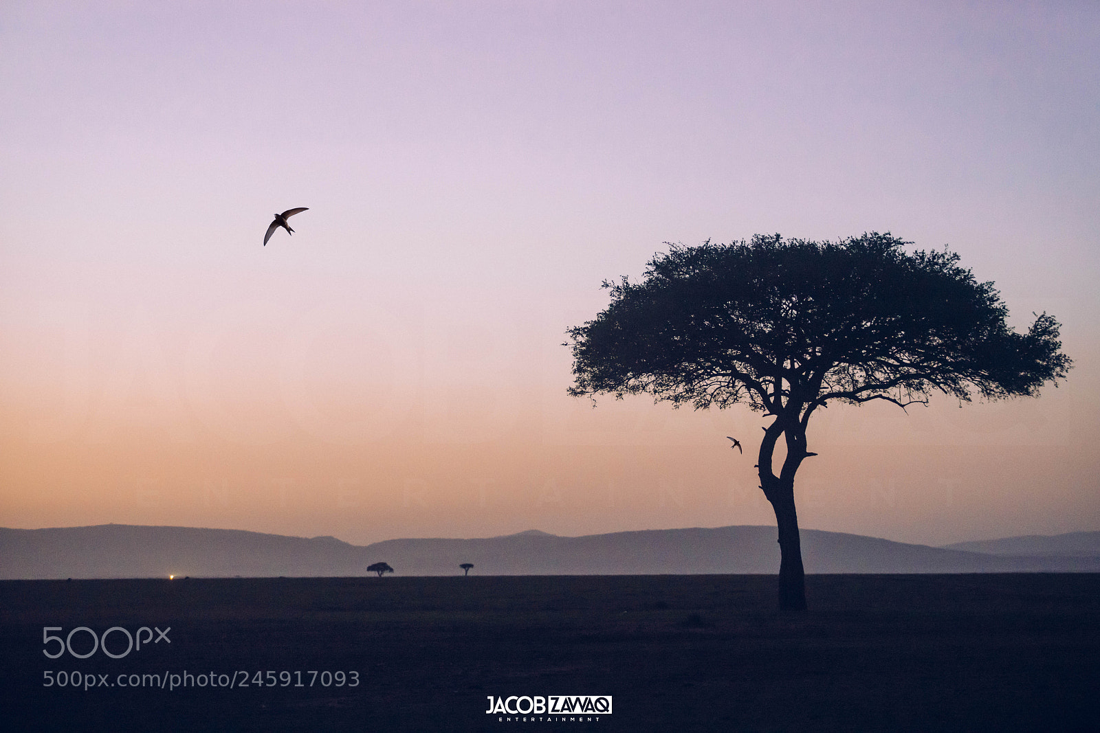 Sony a7R II sample photo. Sunrise - kenya photography