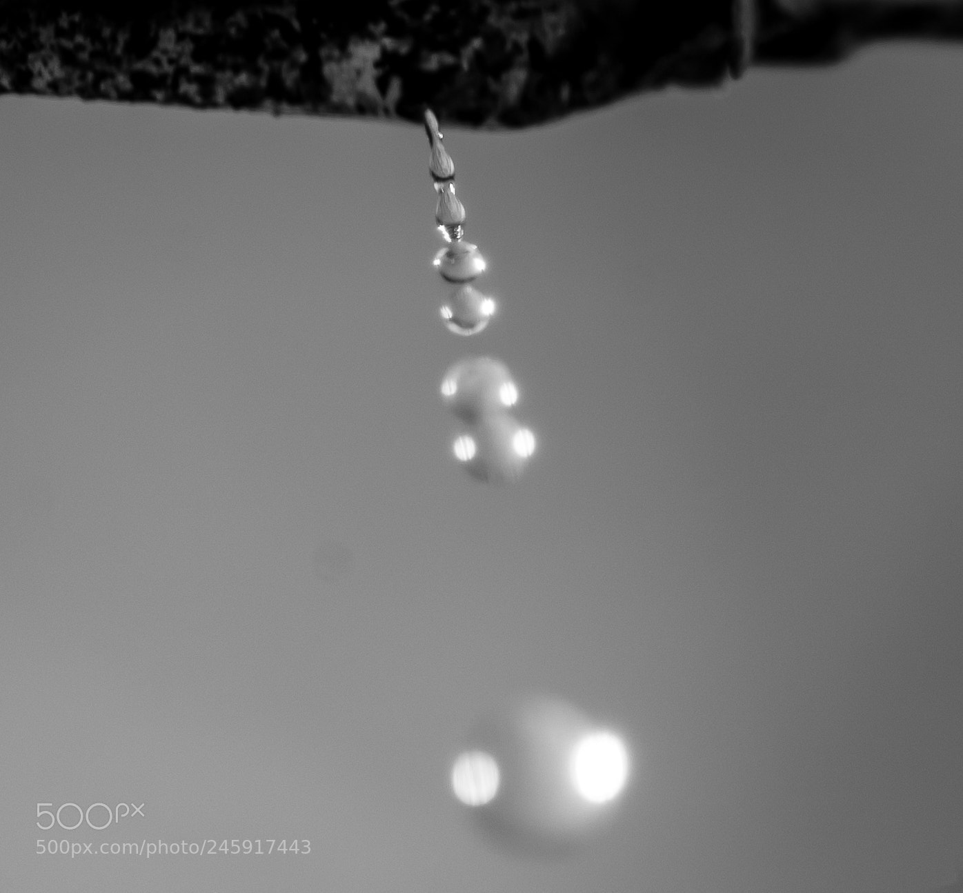 Nikon D50 sample photo. Drip photography