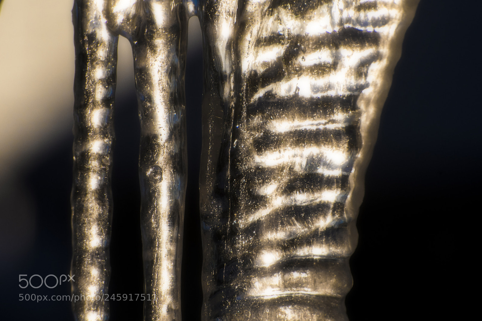 Nikon D500 sample photo. Icicles close-up. windsor, on. photography