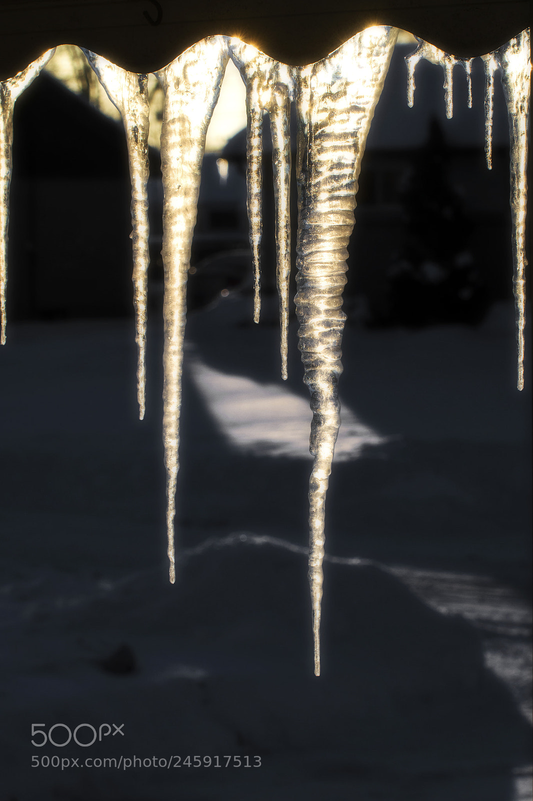 Nikon D500 sample photo. Icicles in the morning photography