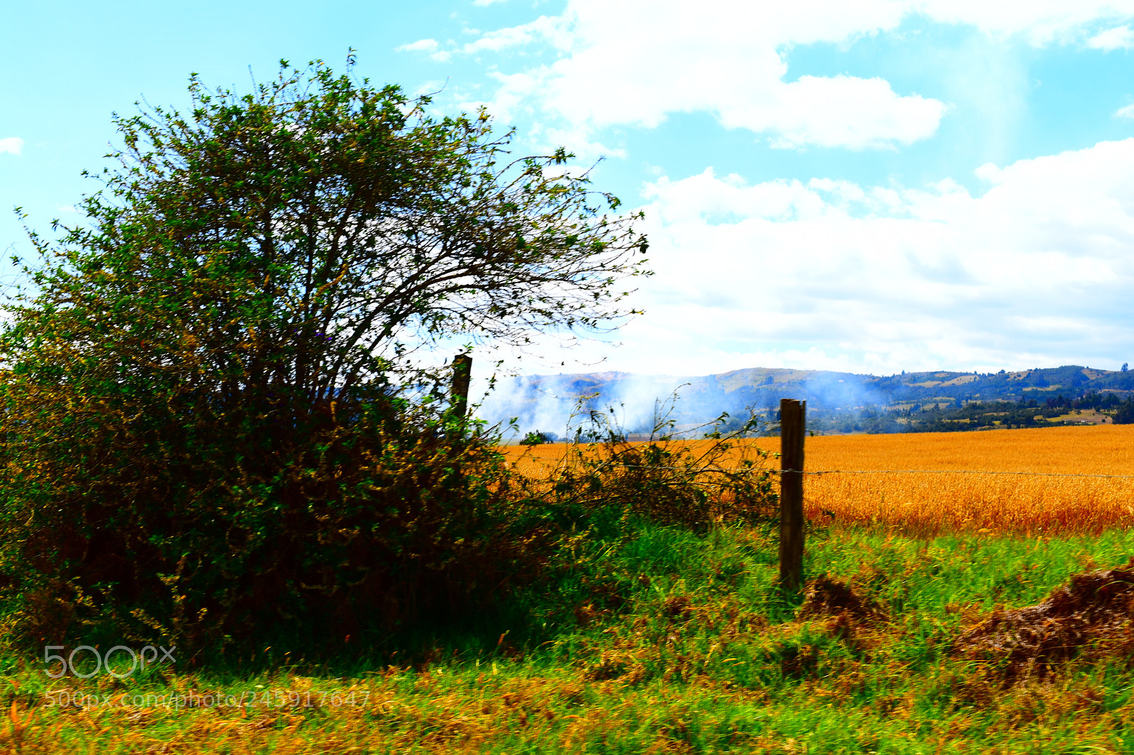 Nikon D3400 sample photo. Untitled photography