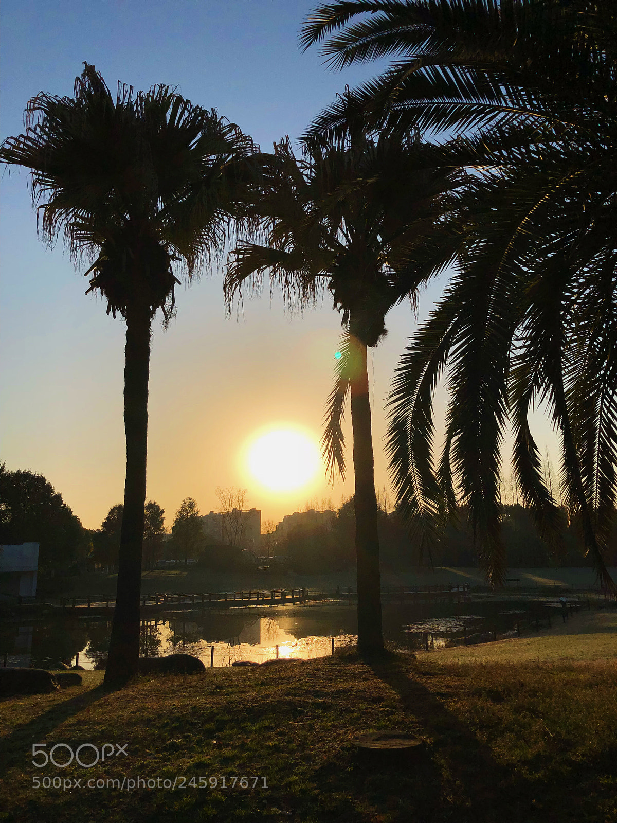 Apple iPhone X sample photo. Untitled photography
