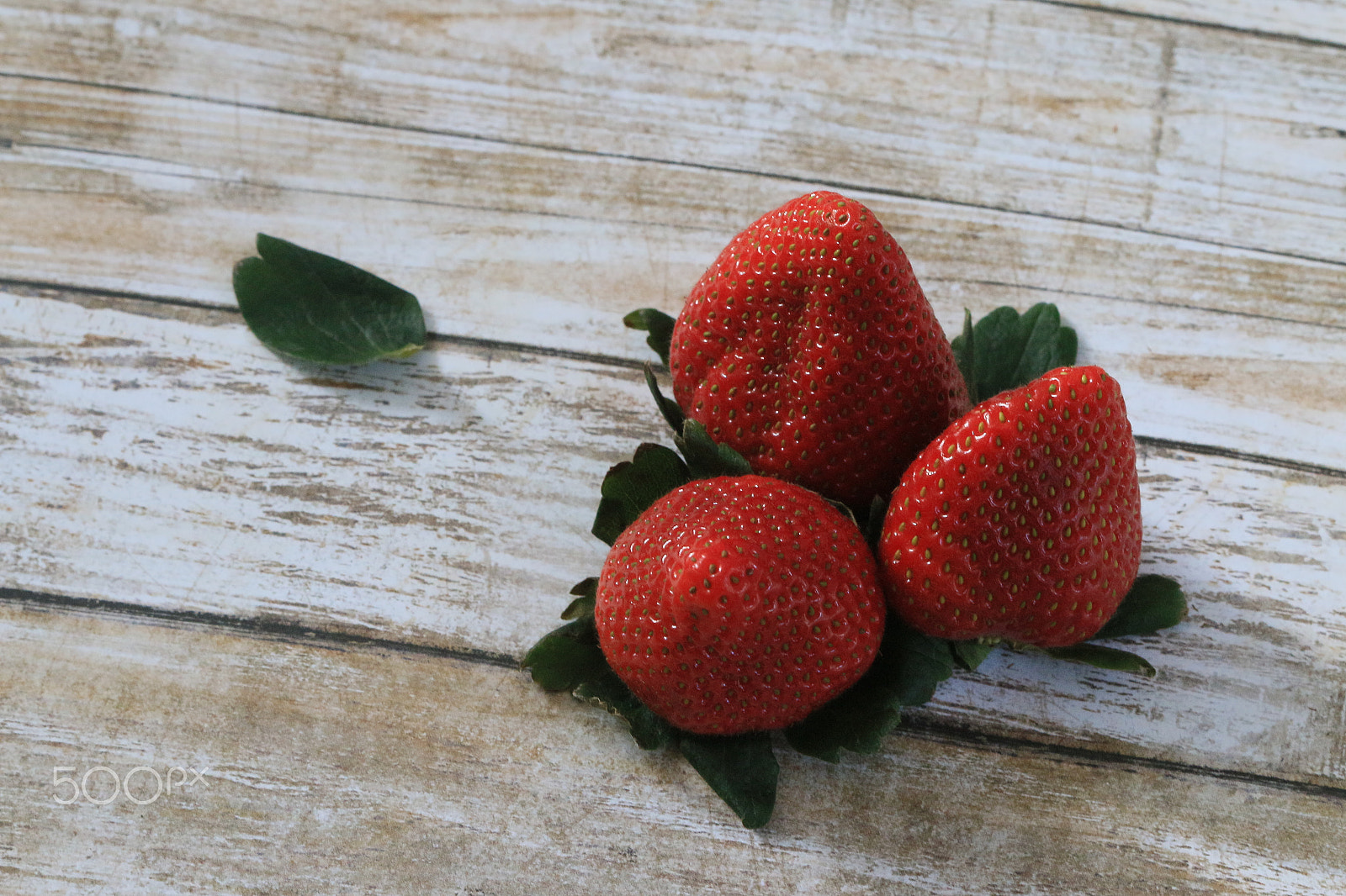 Canon EF 100mm F2.8 Macro USM sample photo. Fresh strawberries photography