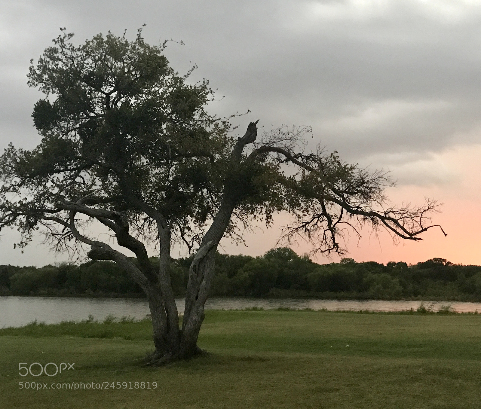 Apple iPhone 7 Plus sample photo. In texas photography