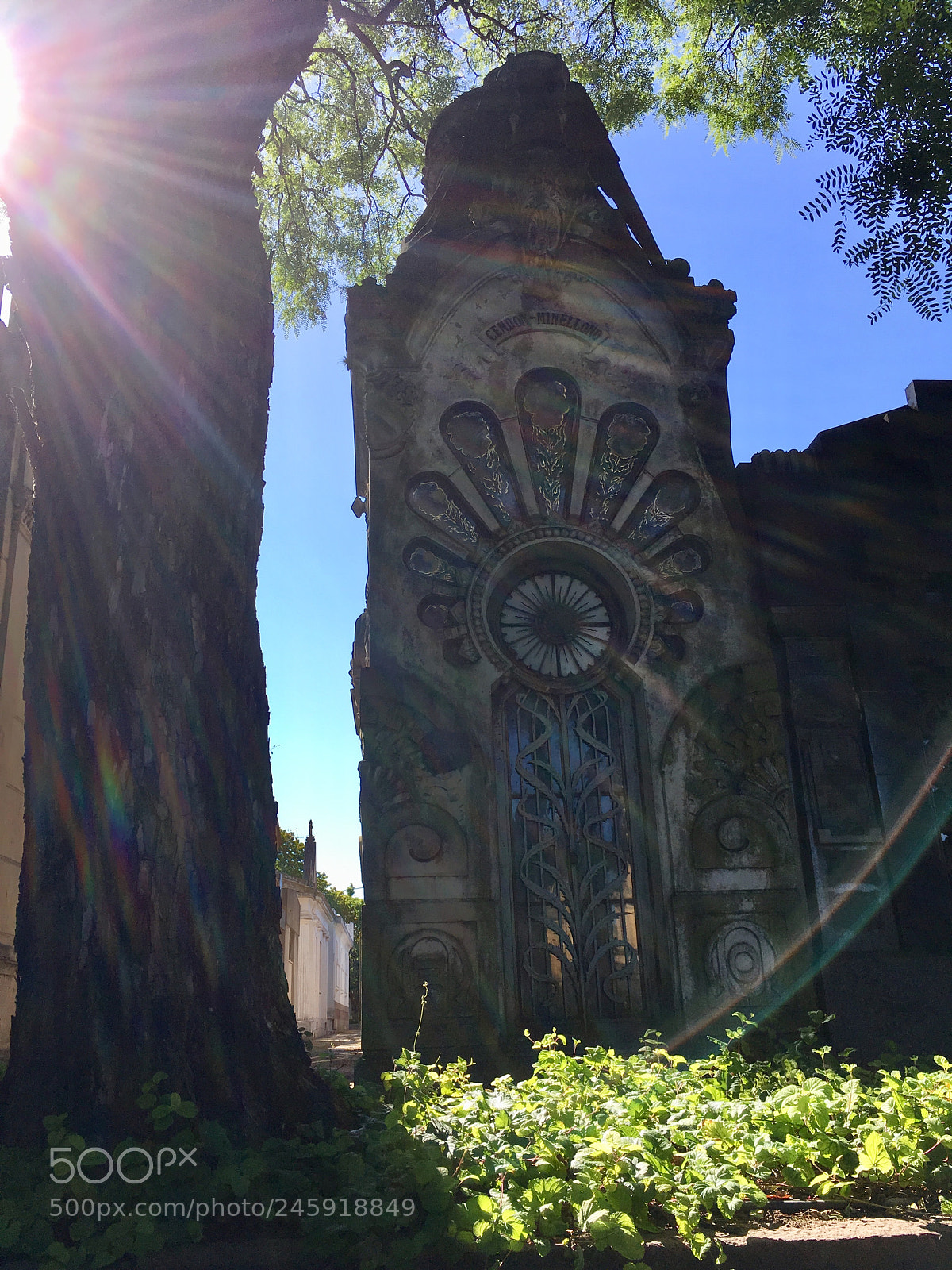 Apple iPhone SE sample photo. Cementerio photography