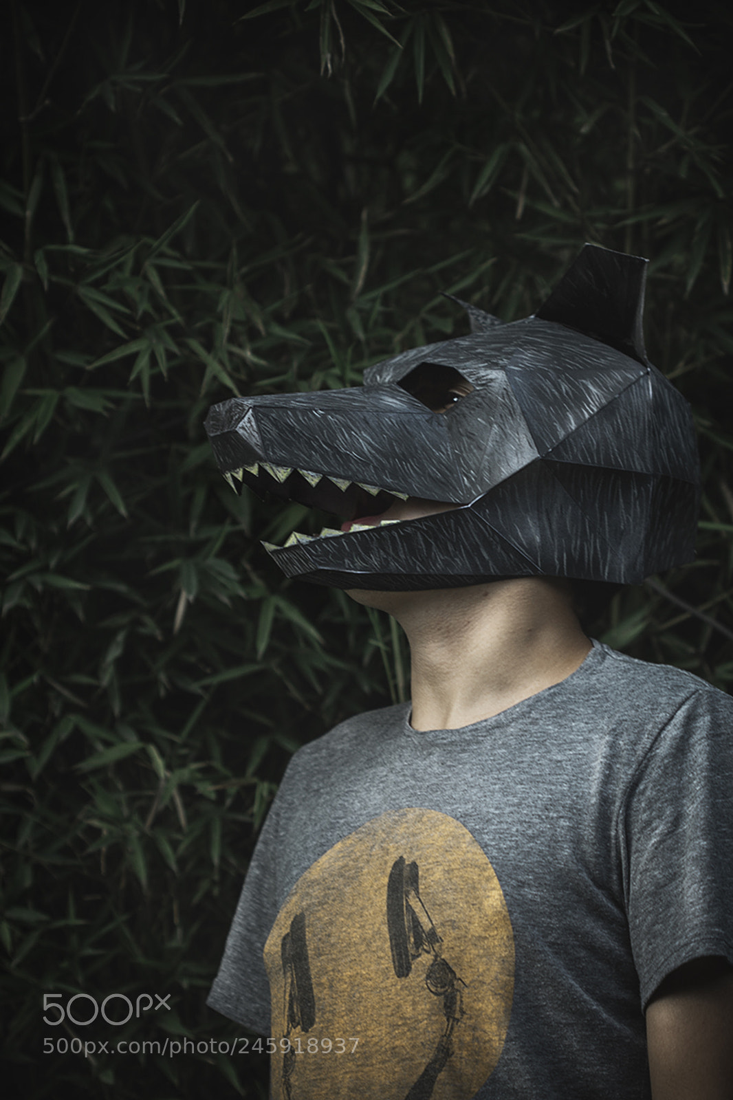Canon EOS 1100D (EOS Rebel T3 / EOS Kiss X50) sample photo. Masked boy photography