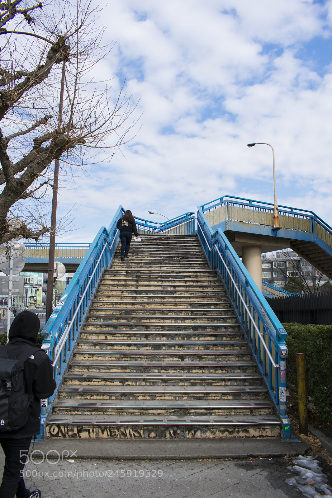 Nikon D3400 sample photo. The route to yoyogi photography