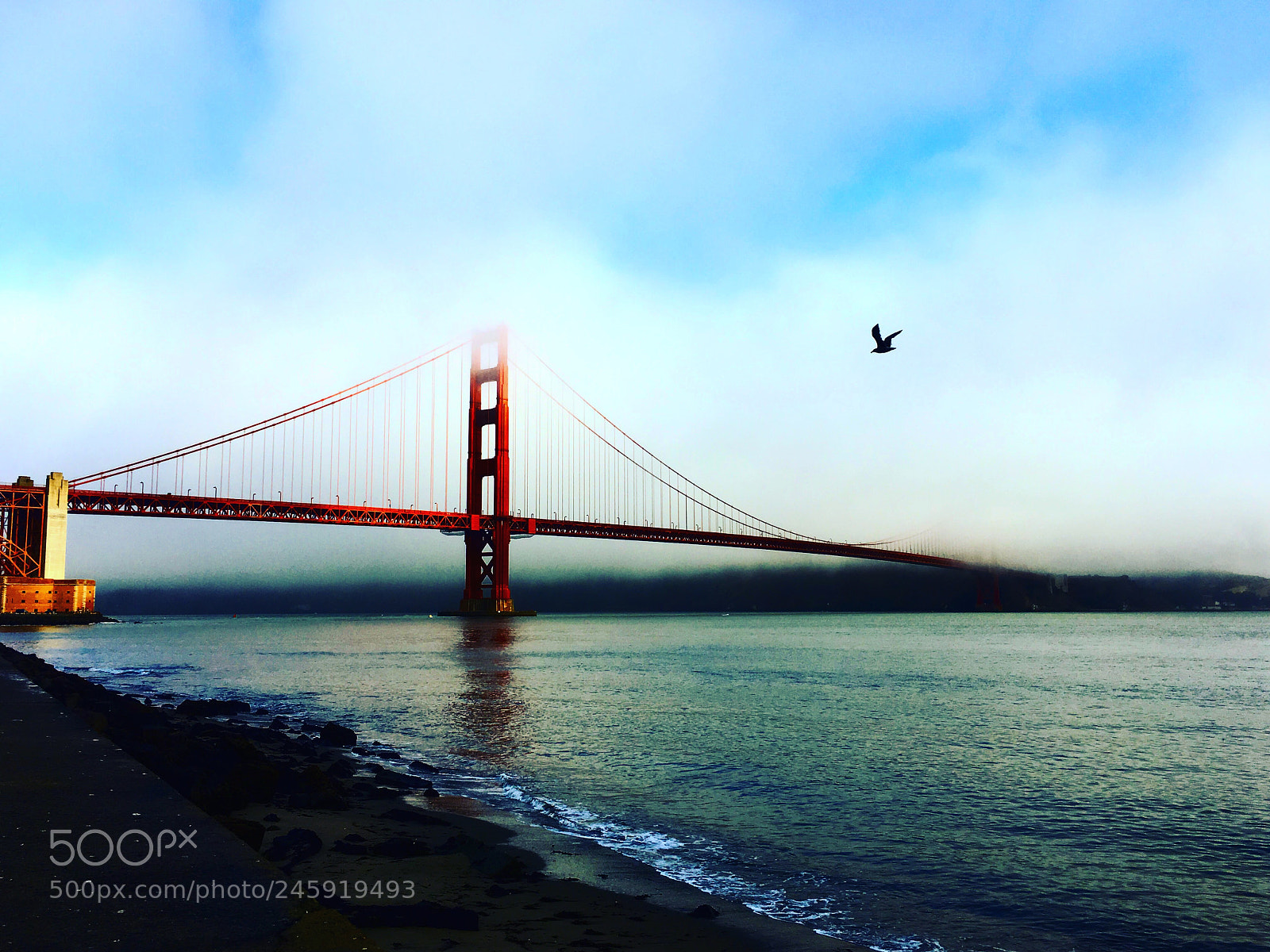 Apple iPhone 6s Plus sample photo. Golden gate bridge photography