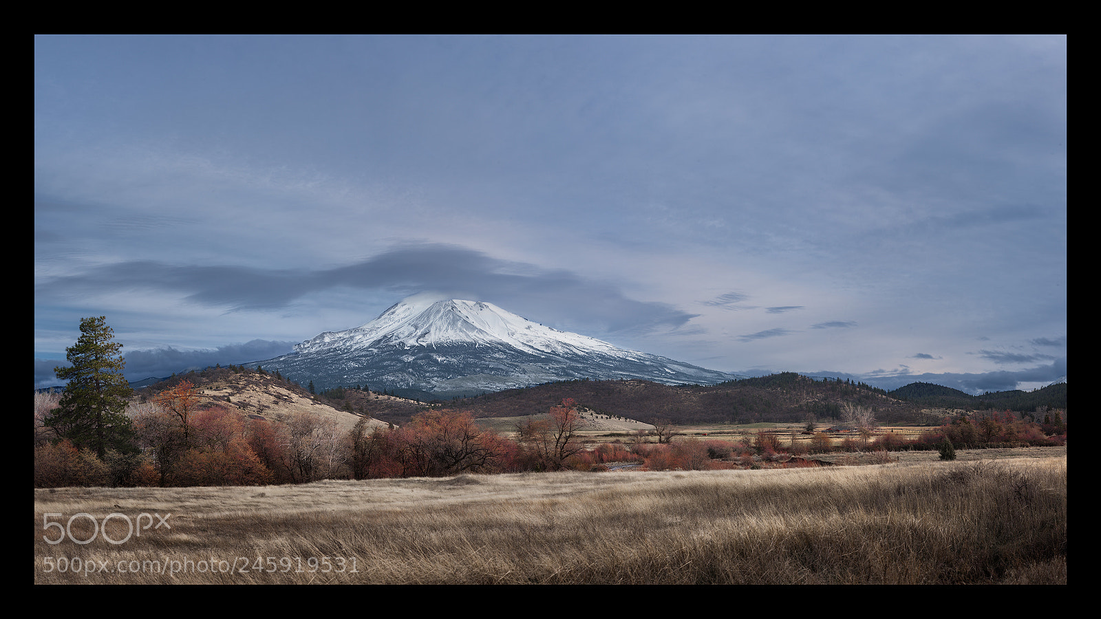 Nikon D810 sample photo. Mt. shasta photography