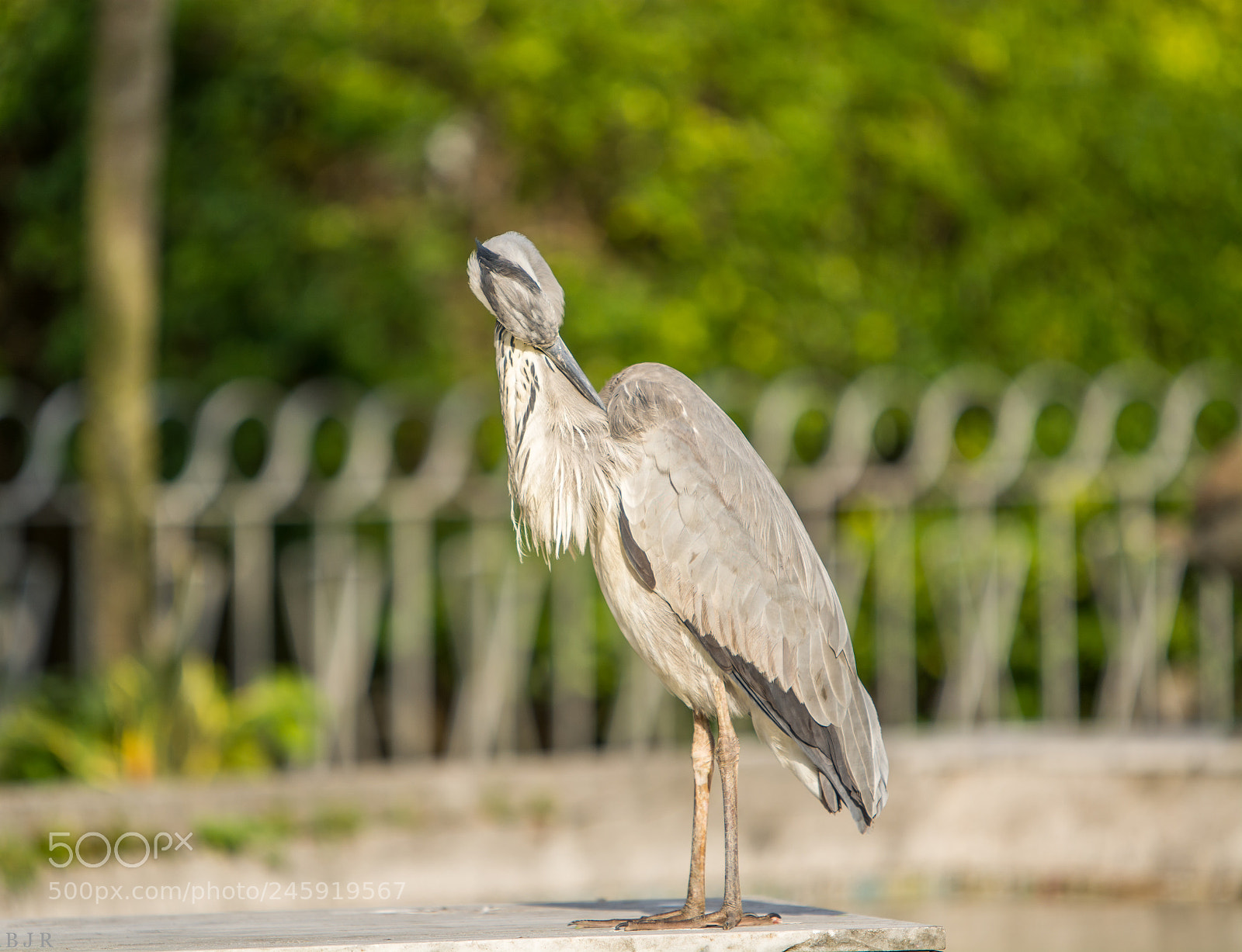 Nikon D7100 sample photo. Untitled photography