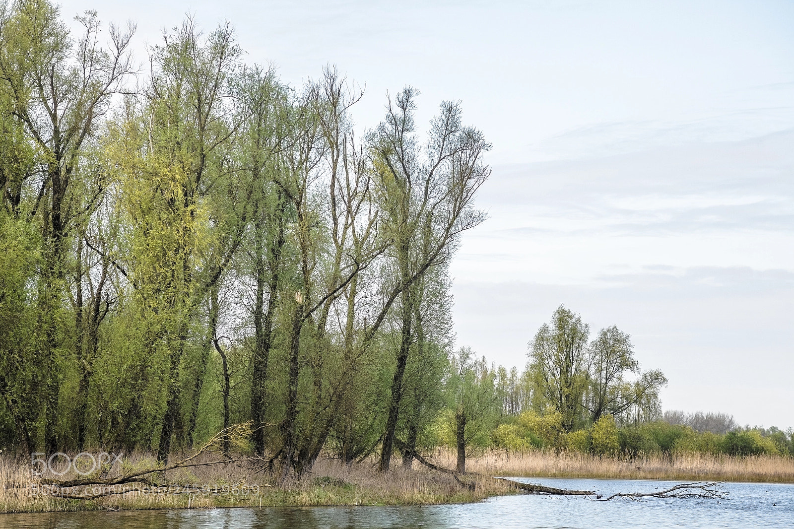 Canon EOS 5D sample photo. Scenery photography