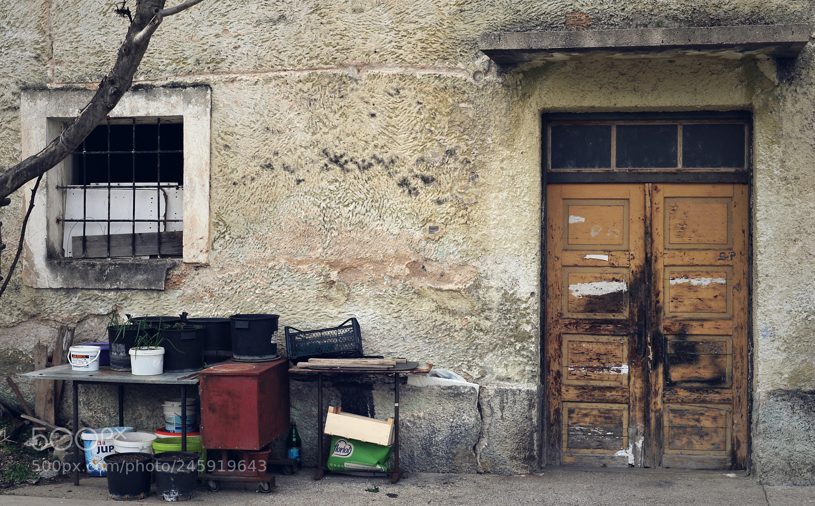 Nikon D700 sample photo. Untitled photography