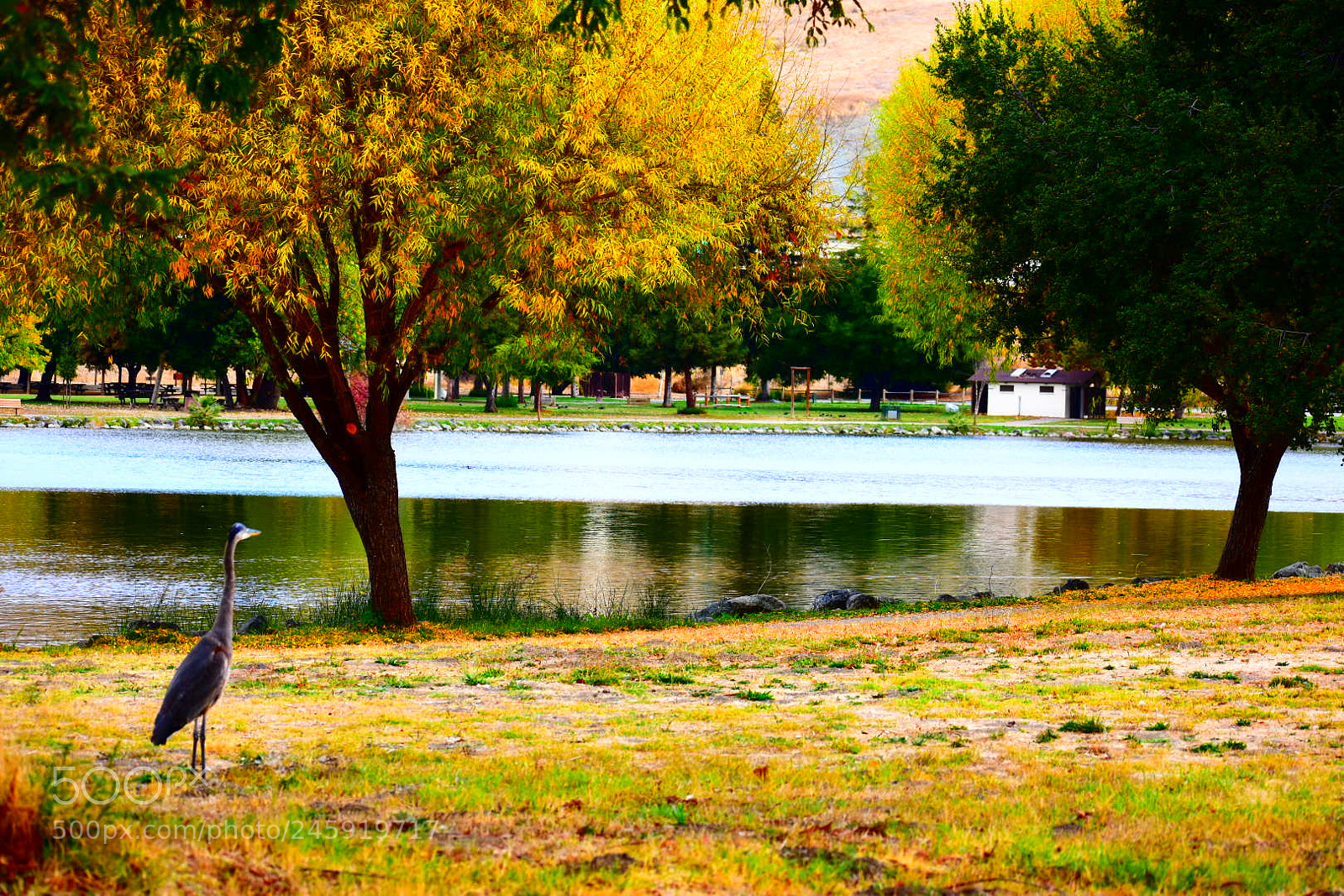 Nikon D3400 sample photo. Autumn day photography