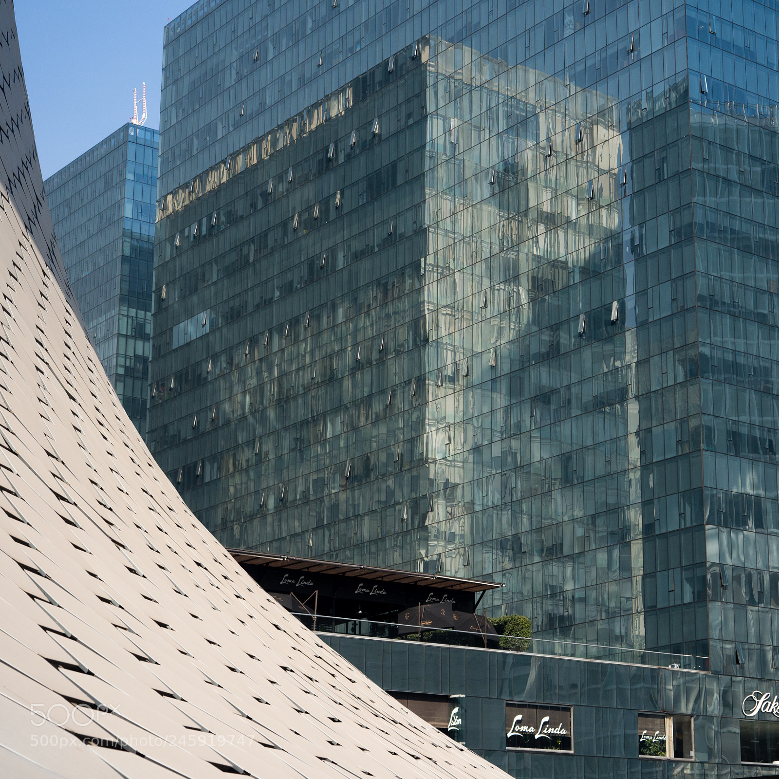 Olympus OM-D E-M10 sample photo. Luxury district photography