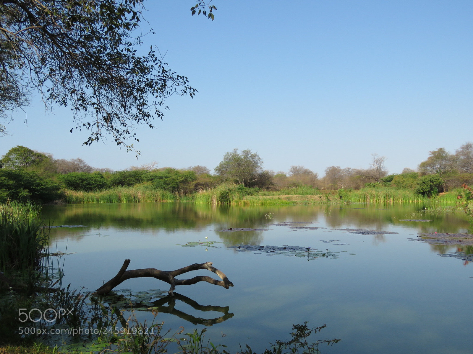 Canon PowerShot SX60 HS sample photo. Paraje ... photography