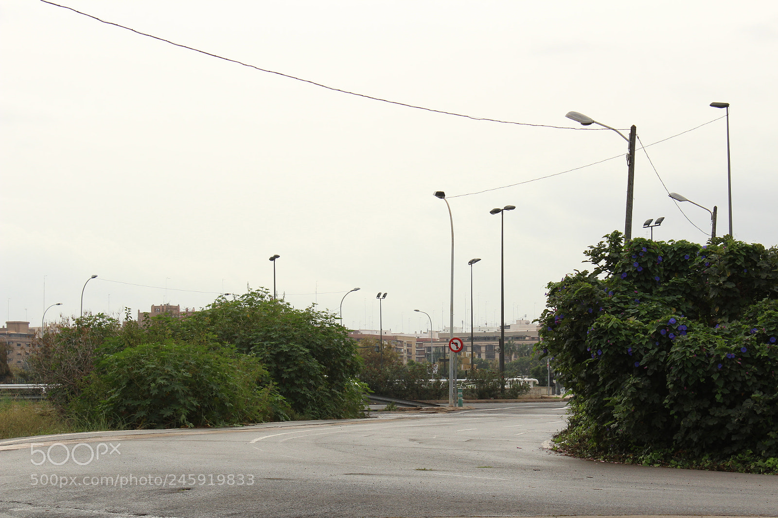 Canon EOS 1300D (EOS Rebel T6 / EOS Kiss X80) sample photo. Wallpaper photography