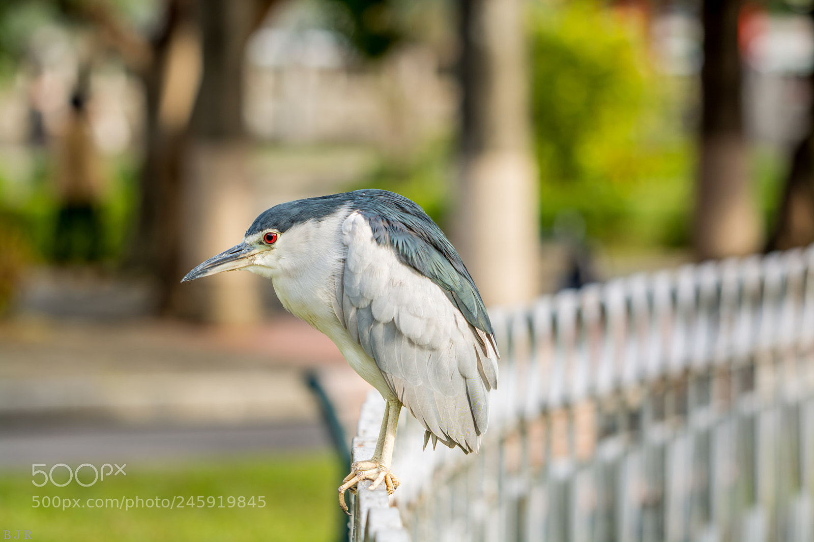 Nikon D7100 sample photo. Untitled photography