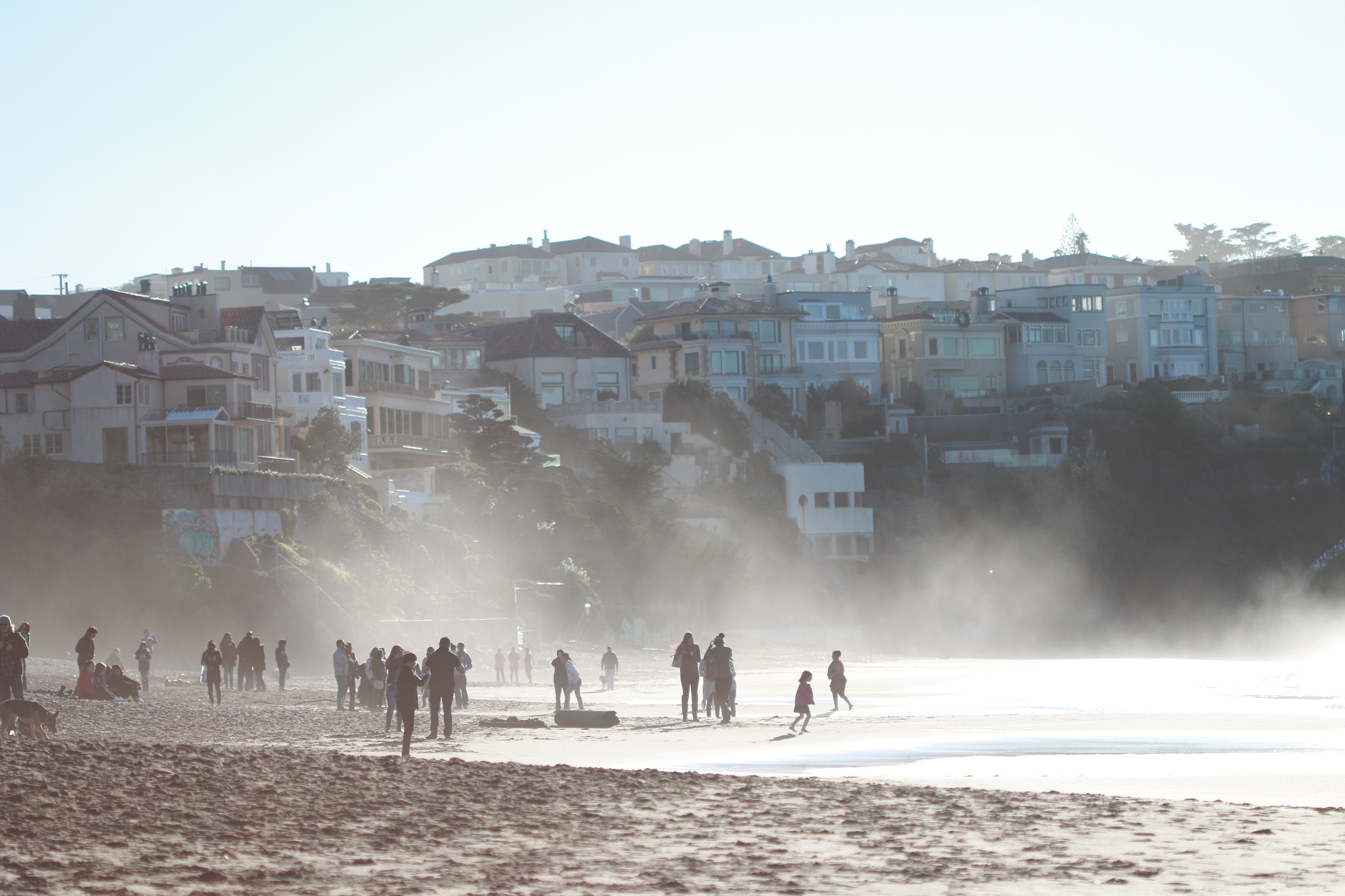 Canon EF 100mm F2.8 Macro USM sample photo. Beach photography