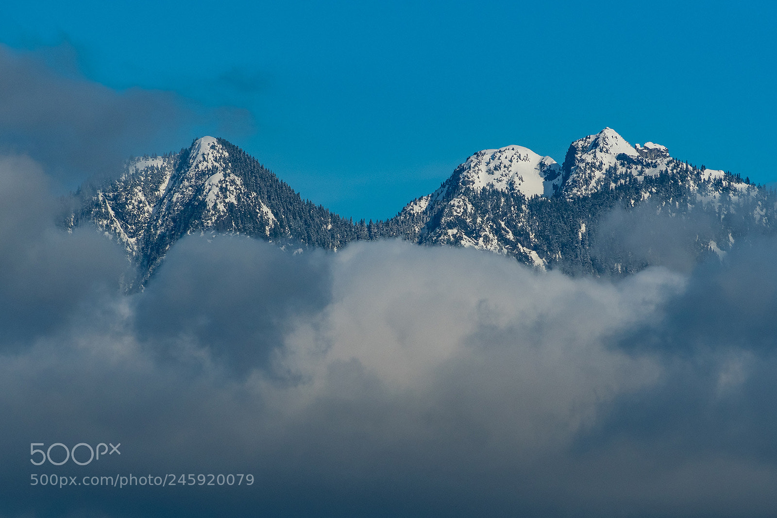 Olympus OM-D E-M5 II sample photo. "crown" above cloud photography
