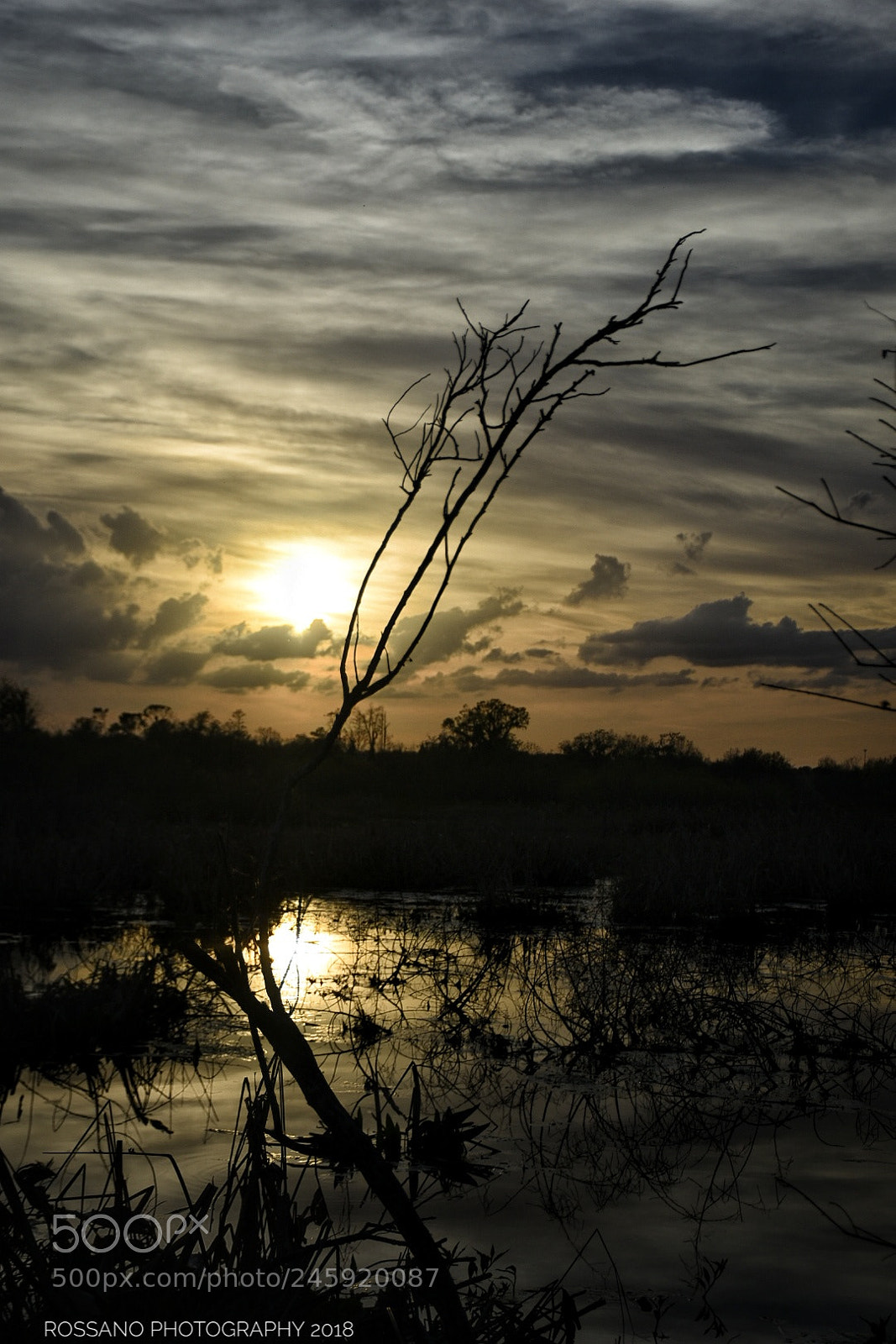Nikon D7200 sample photo. Untitled photography
