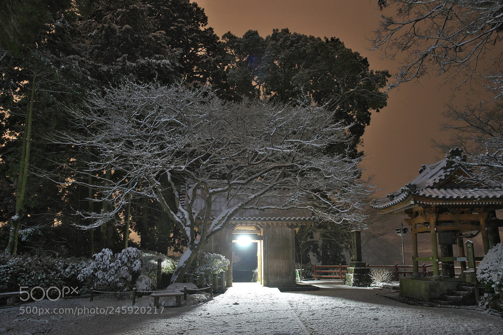 Sony SLT-A99V sample photo. Untitled photography