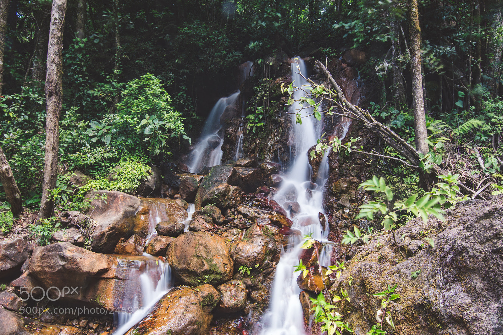Nikon D500 sample photo. Untitled photography