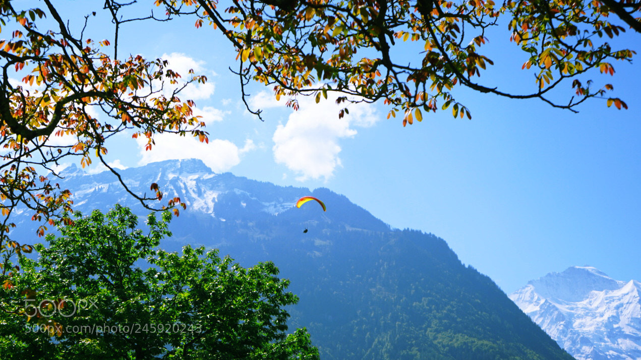 Sony a7 II sample photo. Flying photography