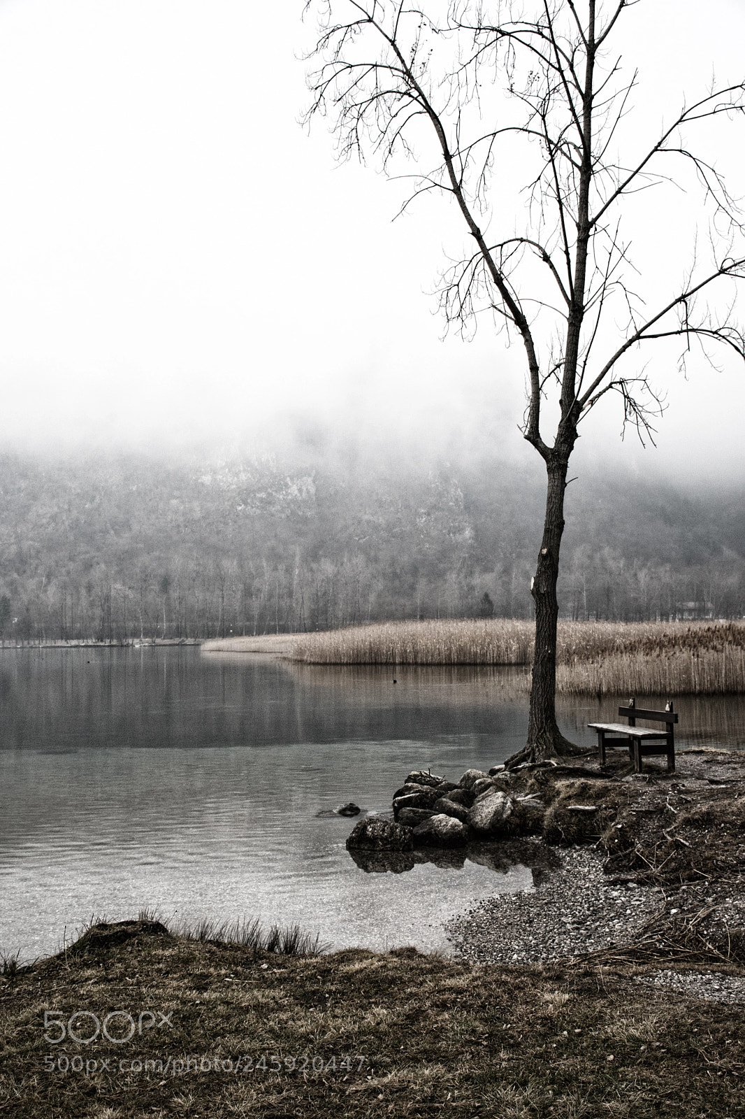 Nikon D5500 sample photo. Lake cavazzo photography
