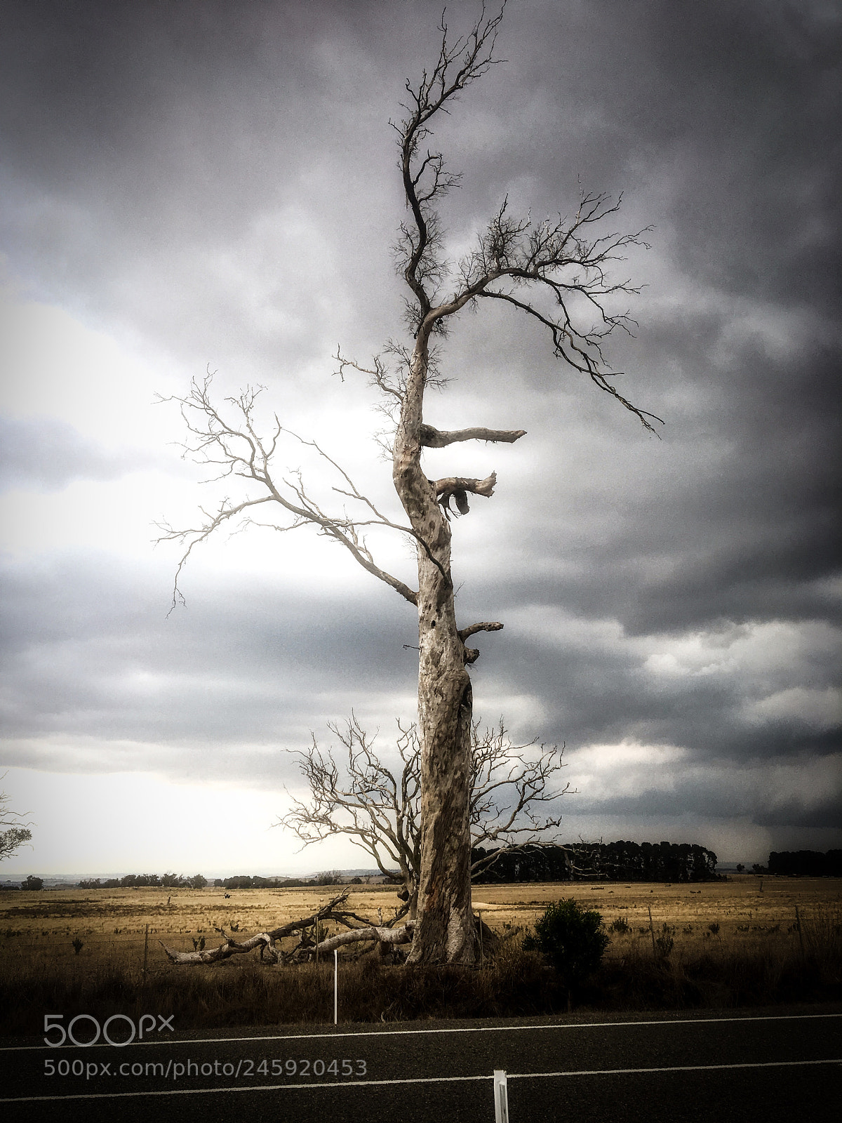 Apple iPhone 6s sample photo. Enhanced pre storm stillness photography