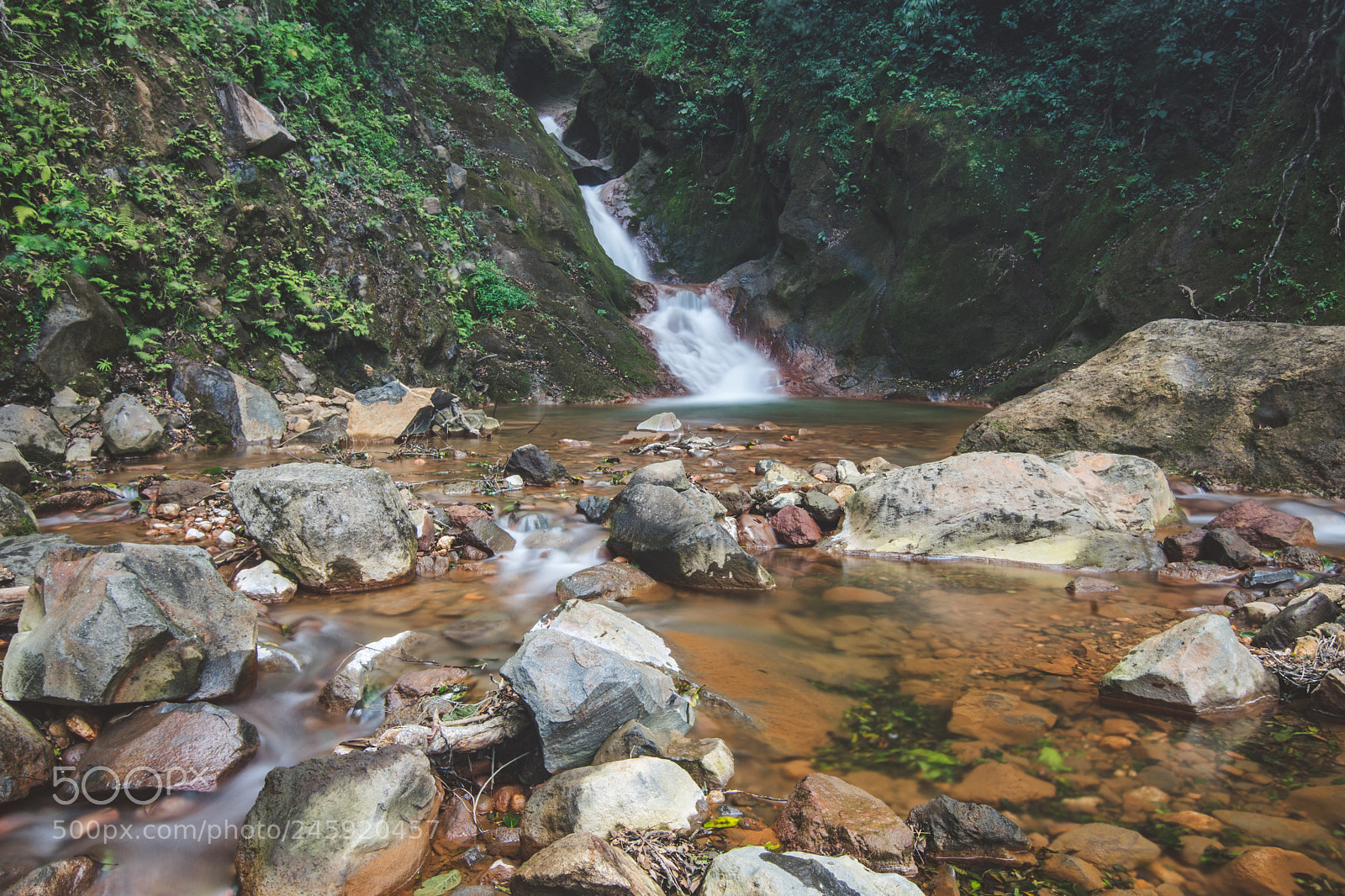 Nikon D500 sample photo. Untitled photography