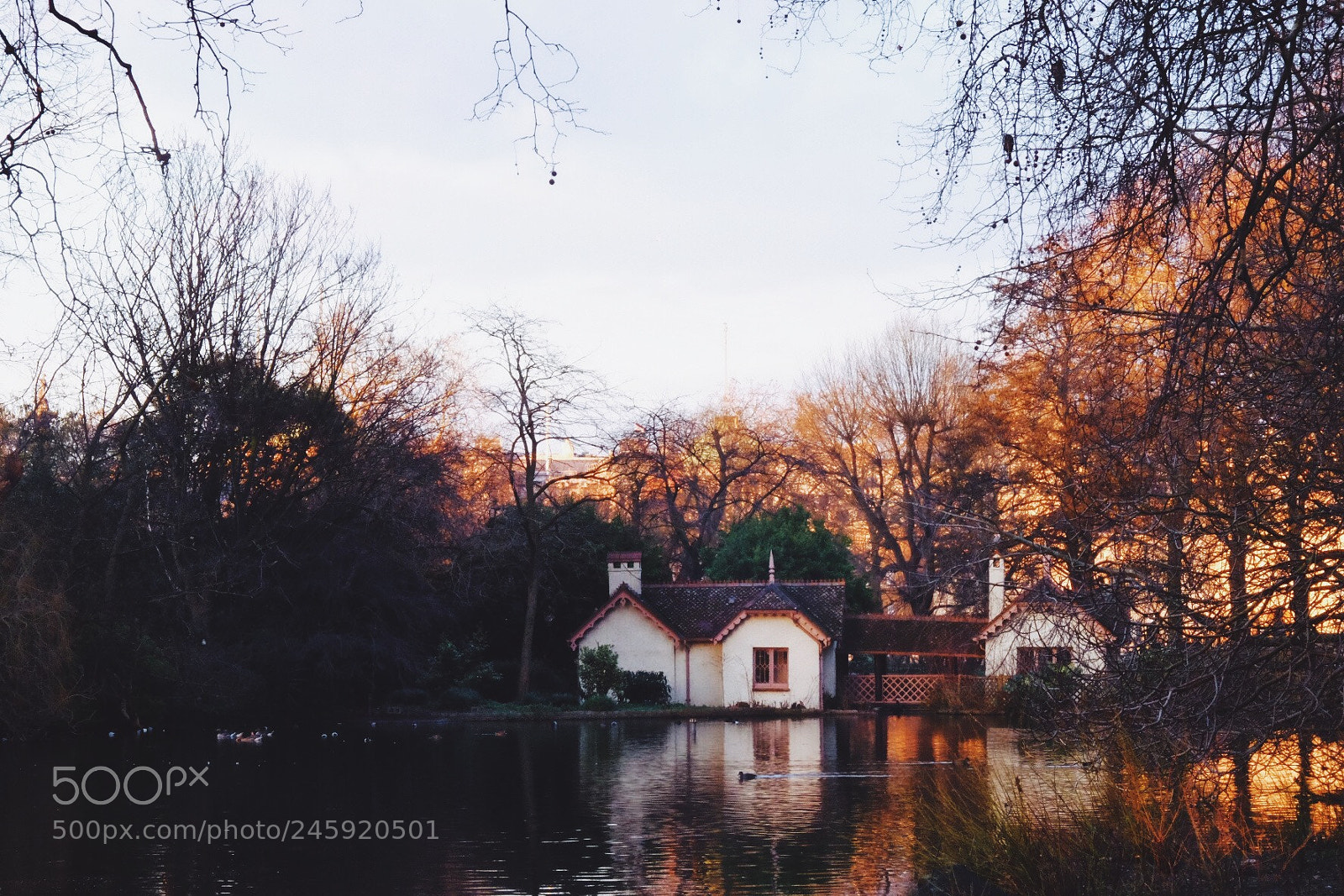 Fujifilm X-T1 sample photo. Untitled photography