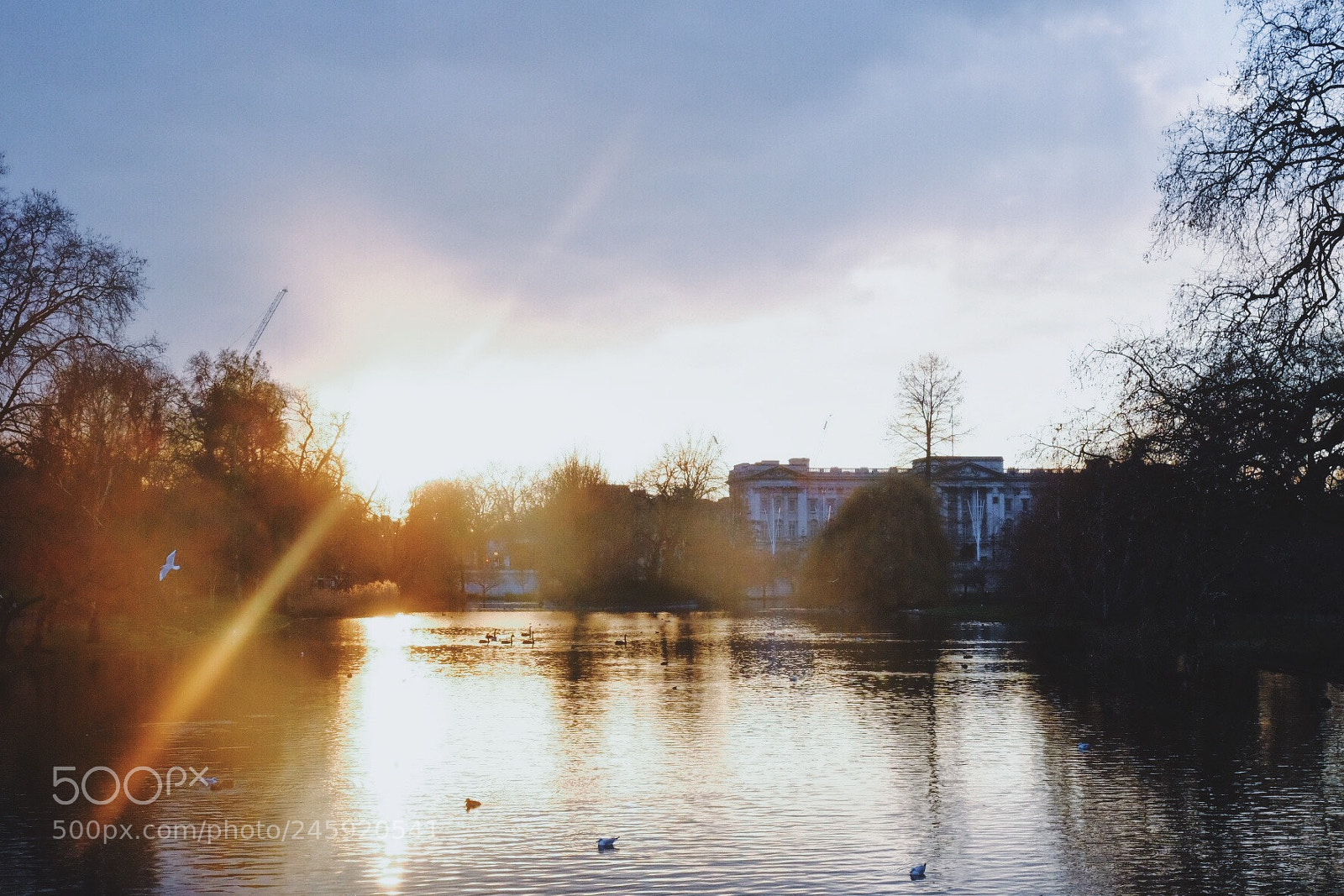 Fujifilm X-T1 sample photo. Untitled photography