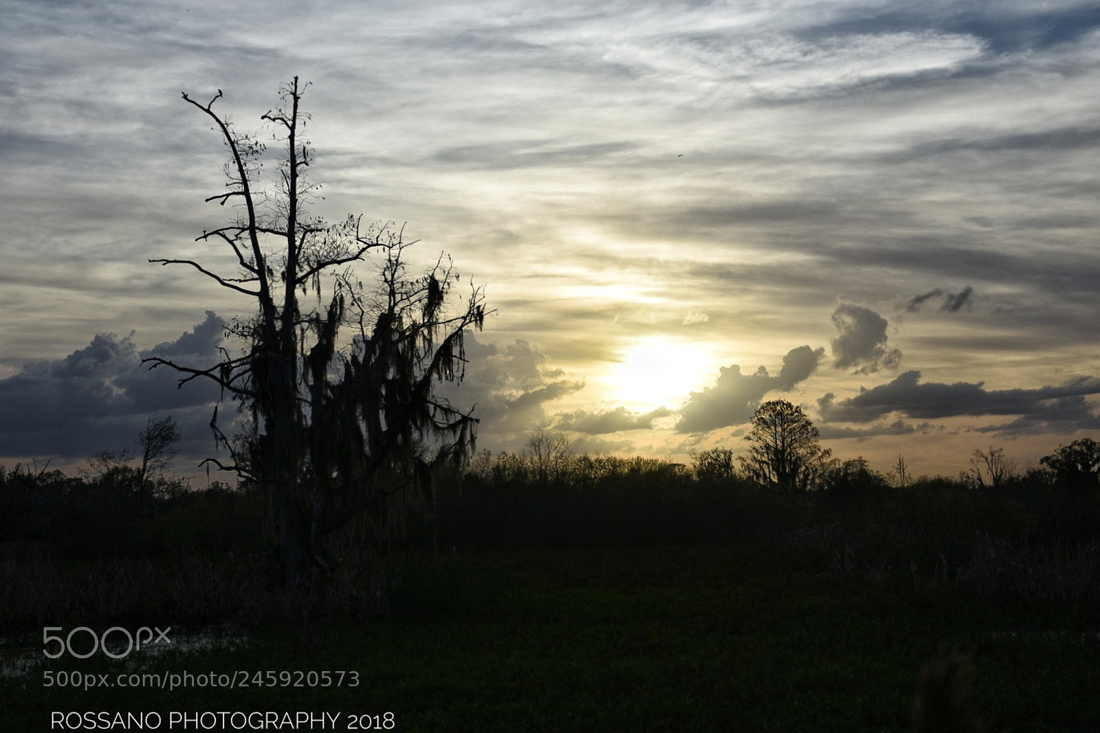 Nikon D7200 sample photo. Untitled photography