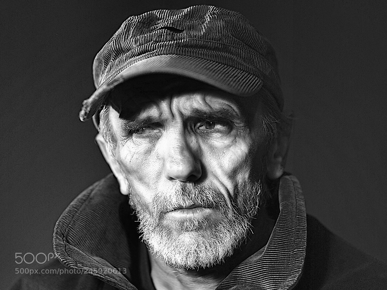 Nikon D80 sample photo. Palestina photography