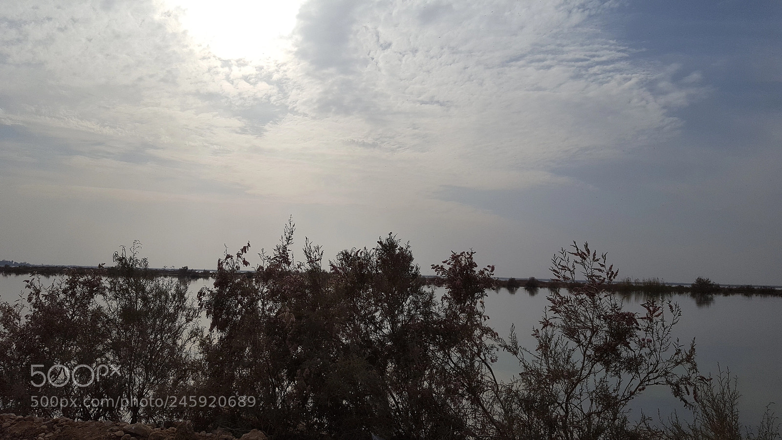 Samsung GALAXY S6 edge sample photo. Sky photography