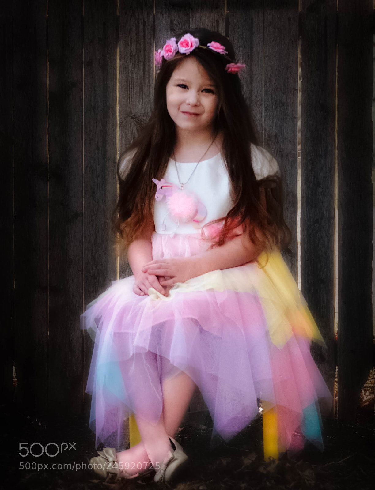 Nikon D5100 sample photo. Her dreams were titanic! photography