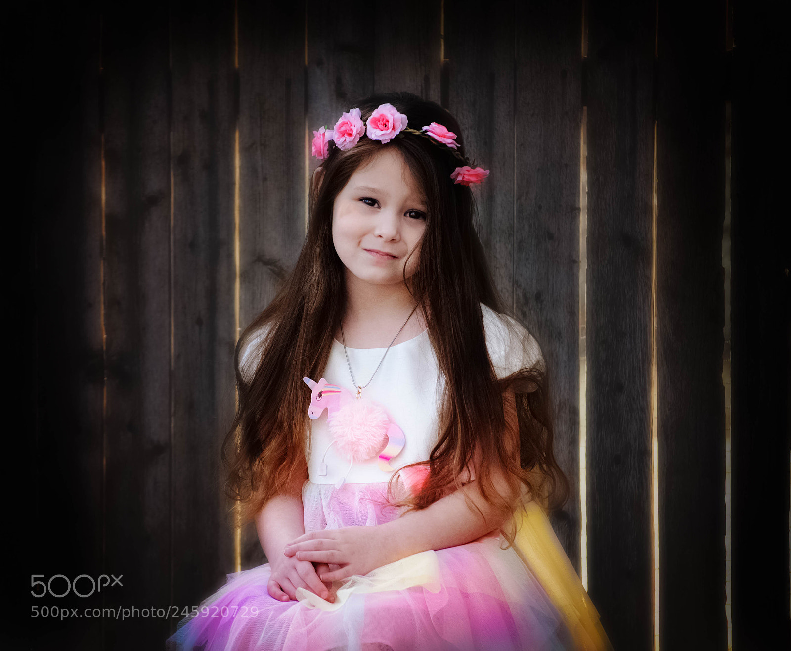 Nikon D5100 sample photo. Her dreams were titanic! photography