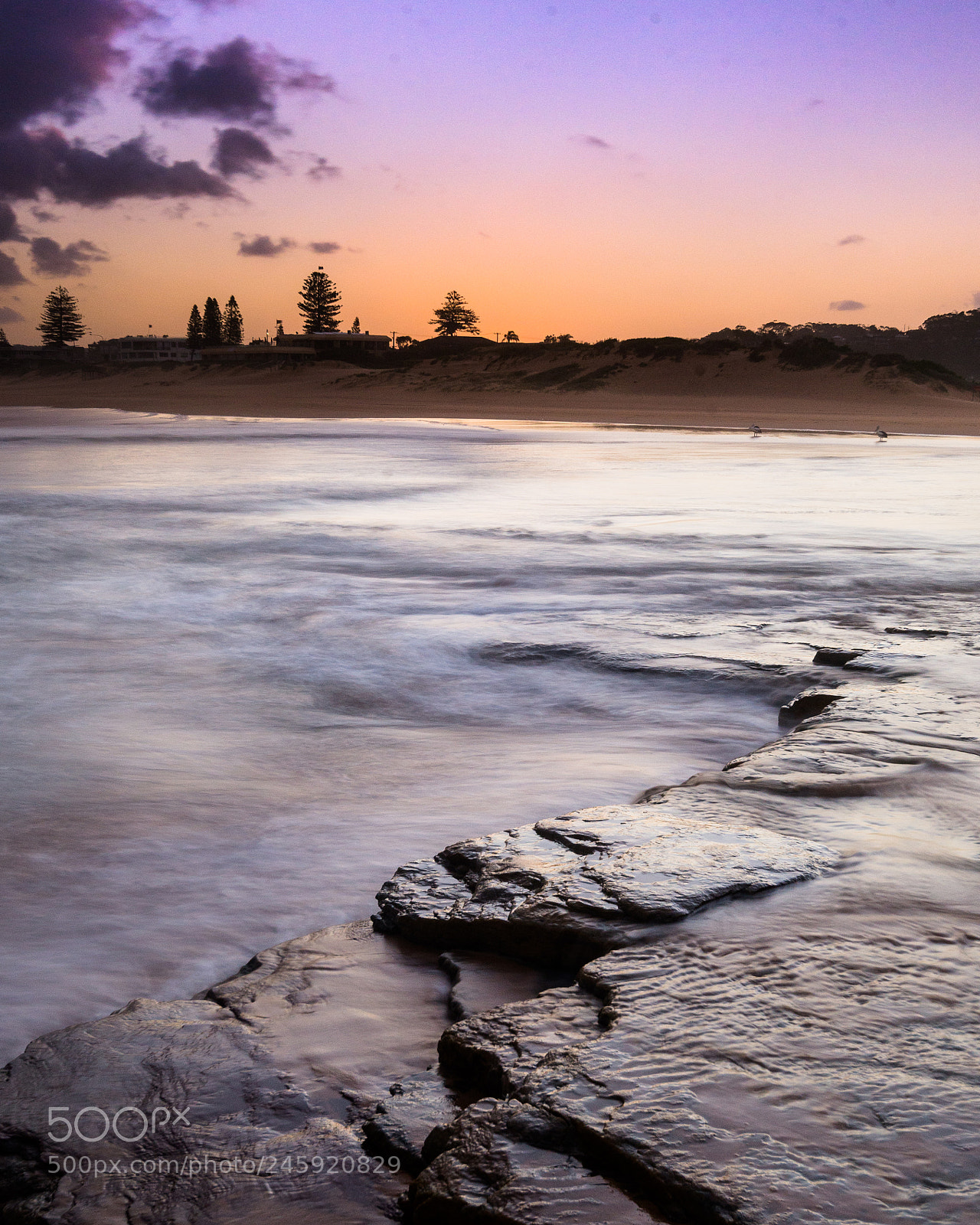 Nikon D610 sample photo. Purple sunset photography