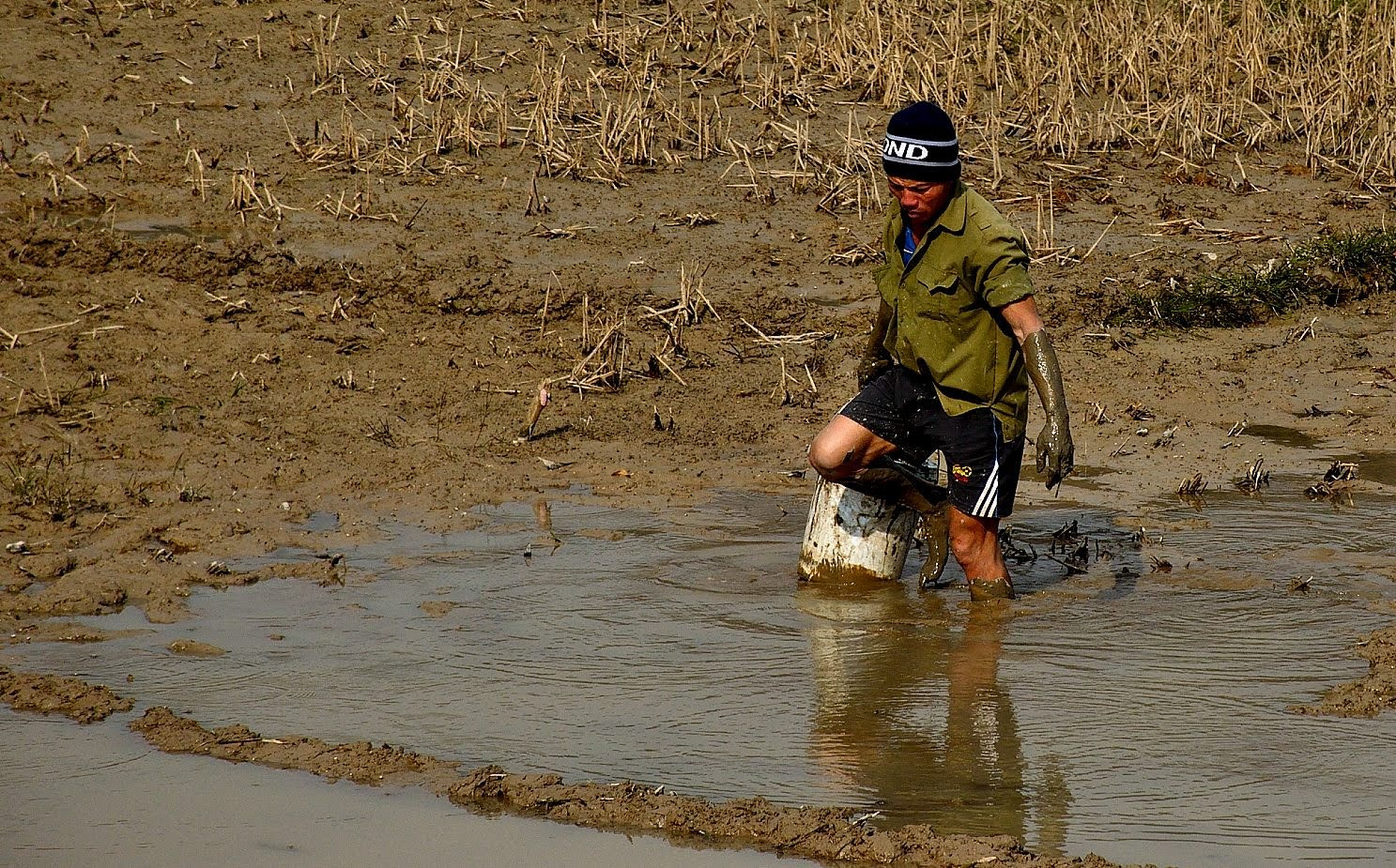 Nikon D3200 sample photo. Catching eels in the rice paddy photography