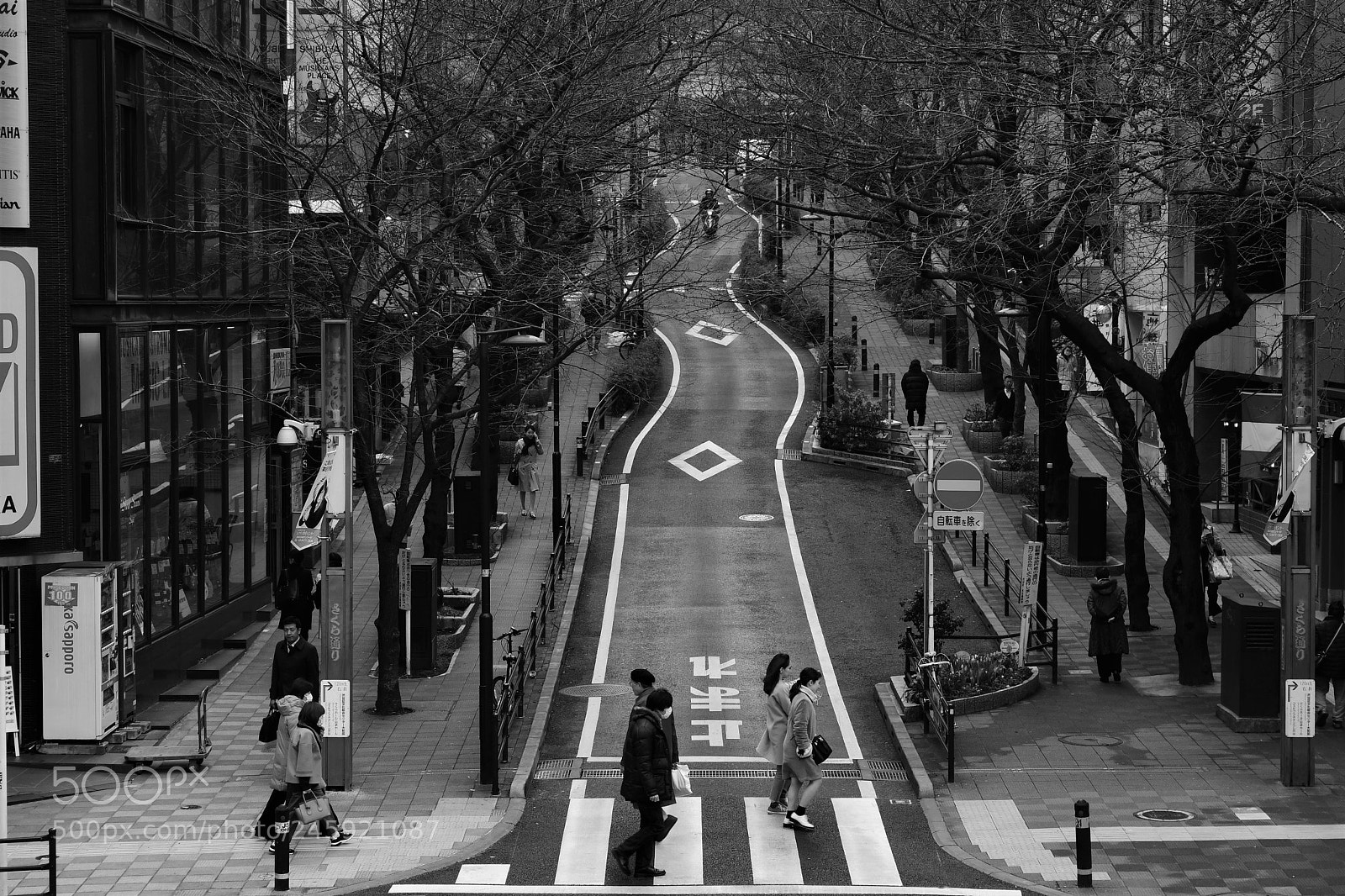 Nikon D500 sample photo. Stop! photography