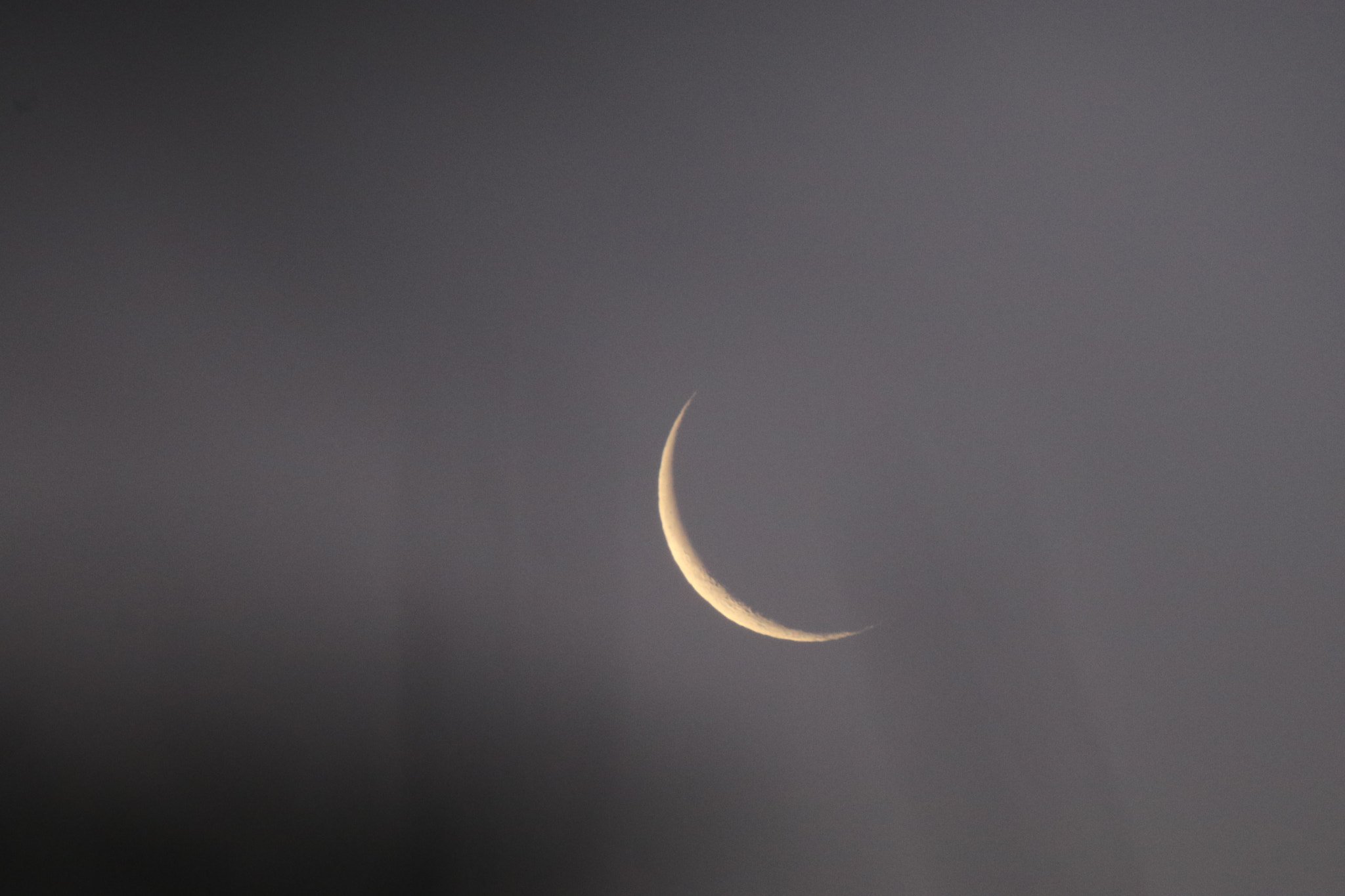 Tamron SP 150-600mm F5-6.3 Di VC USD sample photo. 月牙弯弯crescent crescent teeth photography
