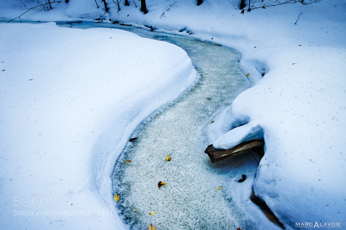 Pentax K-3 sample photo. Cold frozen stream photography