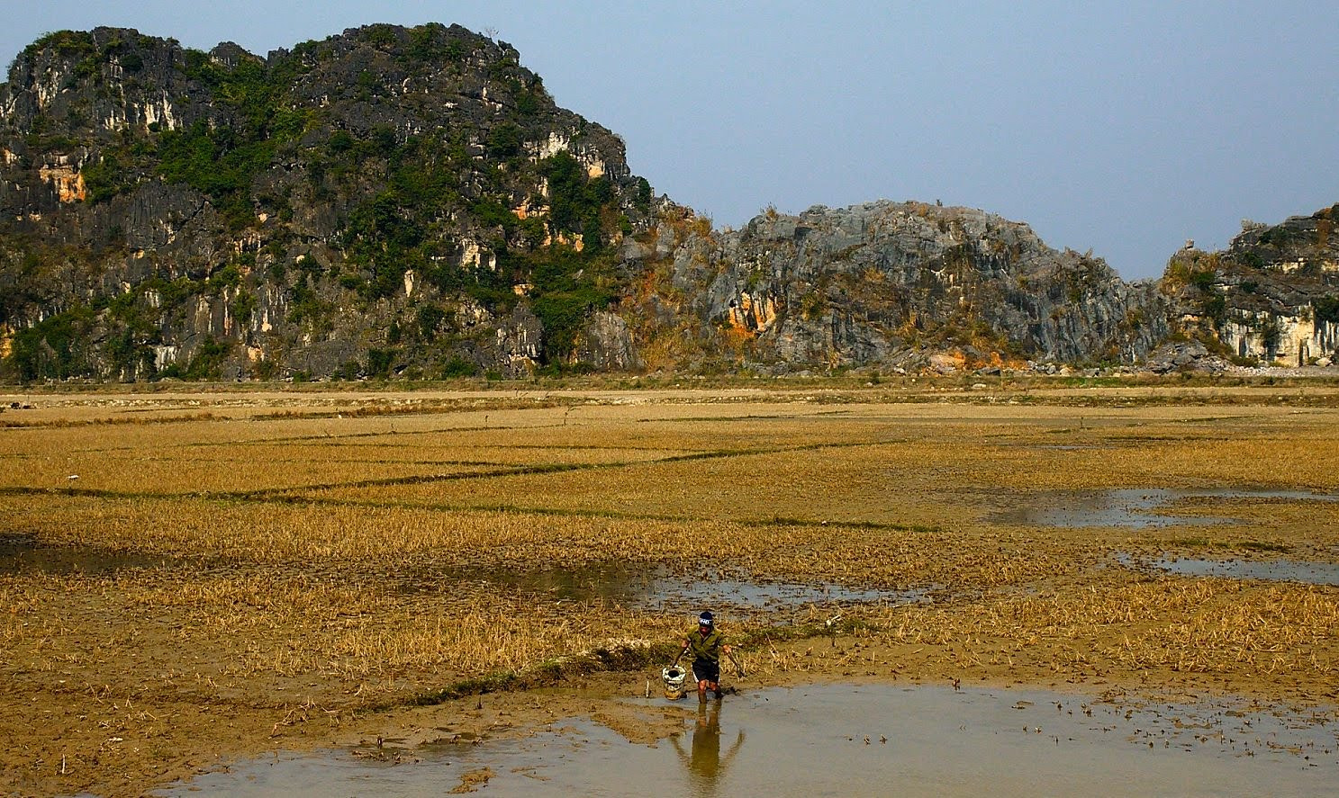Nikon D3200 sample photo