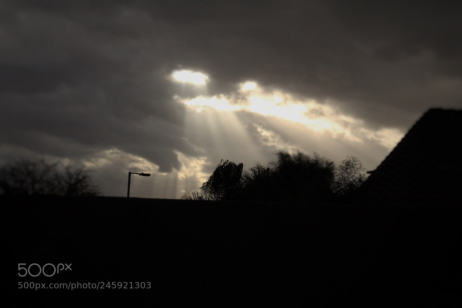 Canon EOS 1300D (EOS Rebel T6 / EOS Kiss X80) sample photo. Sun peeking through the photography