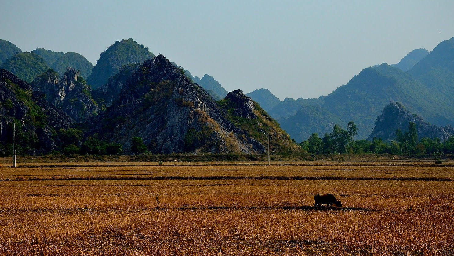 Nikon D3200 sample photo