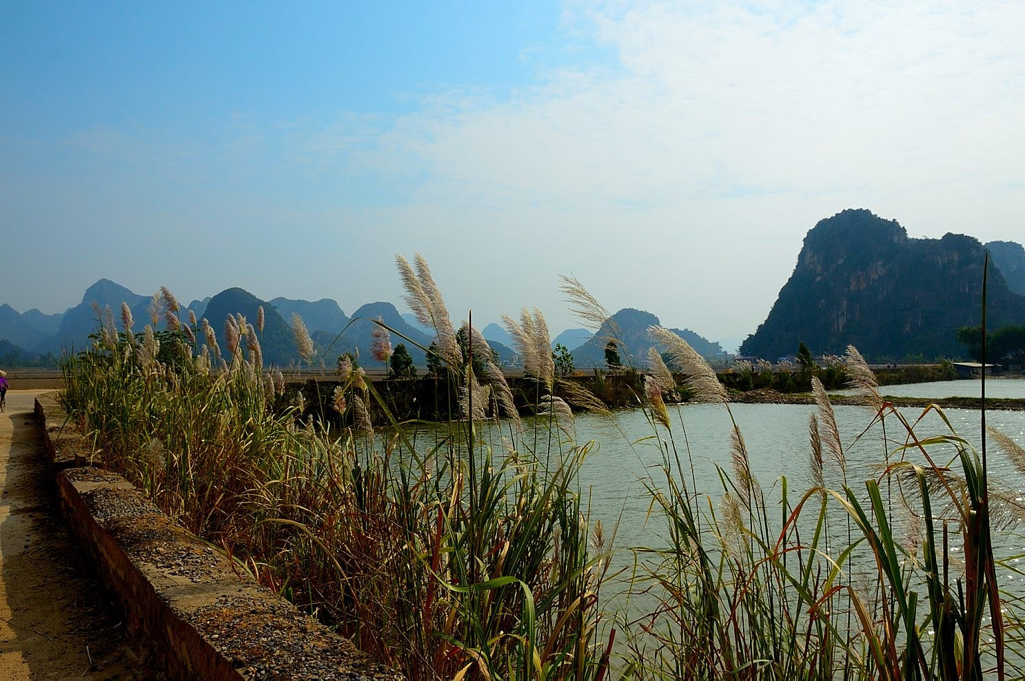 Nikon D3200 sample photo