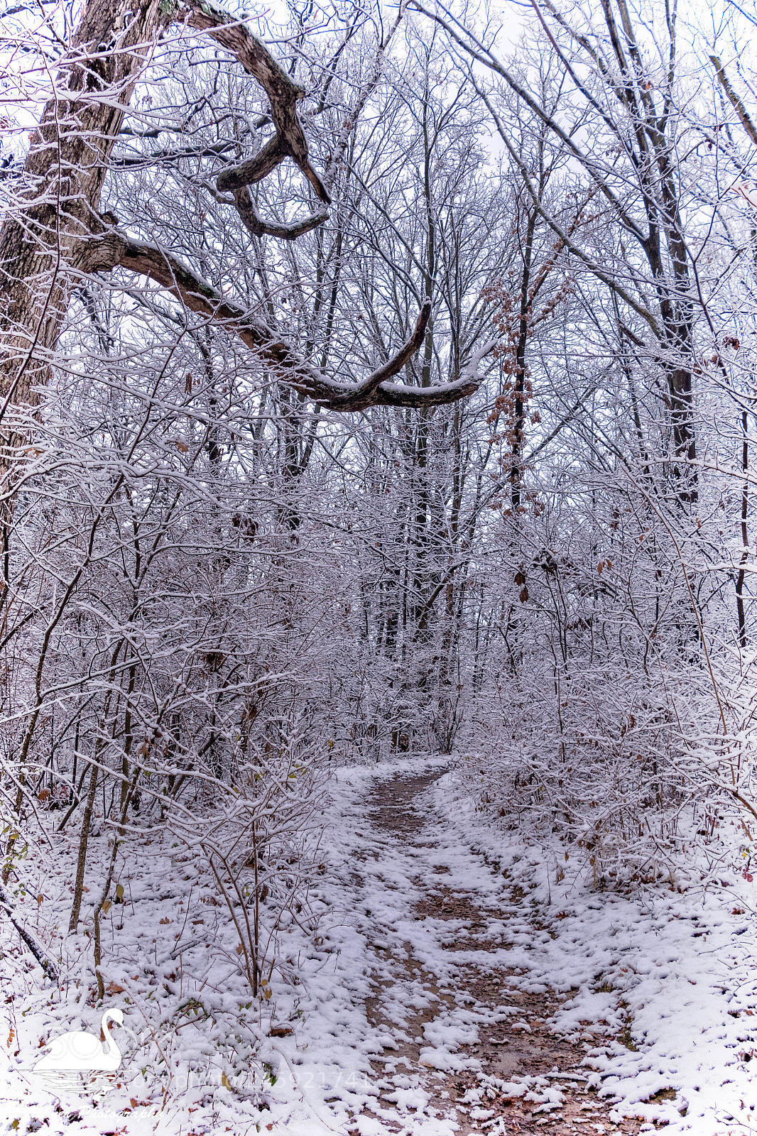 Nikon D5200 sample photo. Frosty hike photography