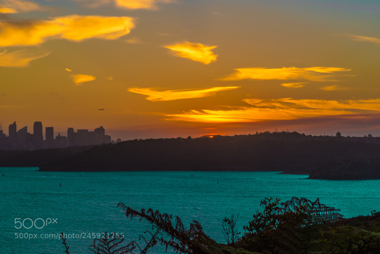 Nikon D810 sample photo. Sunset seen from north photography